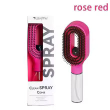 2-In-1 Detangling Hair Spray Brush